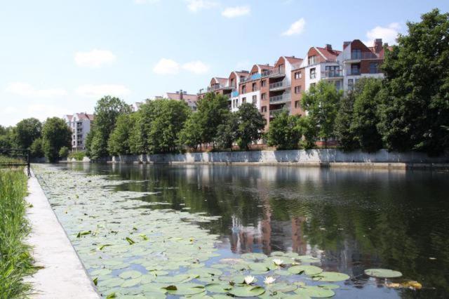Appartement Apartament Bello - Free Parking à Gdańsk Extérieur photo